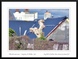 Co. Wicklow