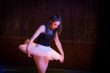 NPHS-Fame-330.JPG