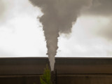 Steam