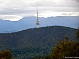 Canberra, Telstra Tower on Black Mountain