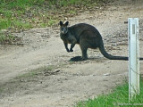 The Brisbane Ranges