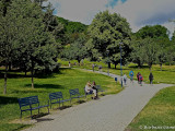 The wooded slopes of Petrin    