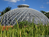 Tropical Display Dome, Botanic Gardens at Mount Coot-tha