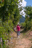 Looking back along the track from Ferden to Kippel