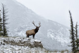 Western Canada