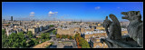 Paris desde Notre-Dame