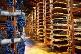 Wines Drying in Verrazano Castello 