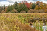 Canaan Valley West Virginia Area