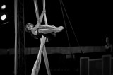 Circus