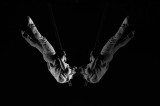 Reflections of an Acrobat