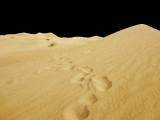 SandDunes2670