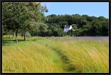 The Wind Breathing in the Summer Grasses.