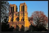 Notre-Dame de Paris.