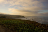 Half Moon Bay.jpg