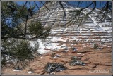 Zion National Park