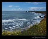 2017 Pigeon Point Light House #10, CA