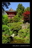 Japanese Tea Garden #02, San Francisco, CA