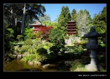 Japanese Tea Garden #15, San Francisco, CA