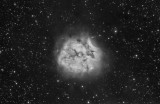Cocoon Nebula in Ha