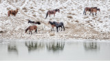 Icy Reflections