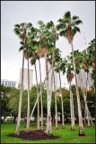 DSC_9040_1.jpg