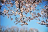 DSC_9561_1.jpg