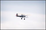 DSC_9821_1.jpg