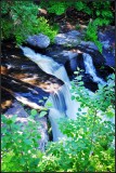 DSC_1147_1.jpg