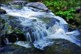 DSC_1156_1.jpg