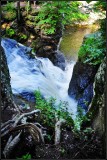 DSC_1168_1.jpg