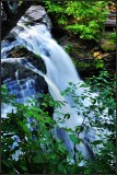 DSC_1174_1.jpg