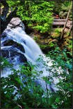 DSC_1182_1.jpg