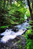 DSC_1214_1.jpg