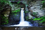 DSC_1265_1.jpg