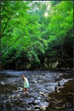 DSC_1276_1.jpg