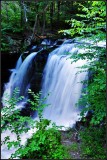 DSC_1303_1.jpg