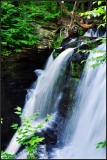 DSC_1330_1.jpg