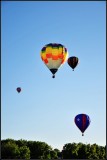 DSC_1495_1.jpg