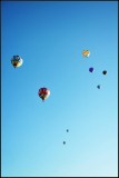 DSC_1519_1.jpg