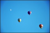 DSC_1541_1.jpg