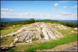DSC_1683_1.jpg