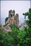 DSC_2011_1.jpg