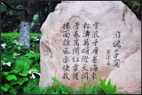 DSC_2083_1.jpg