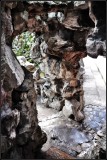DSC_2693_1.jpg