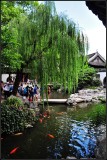 DSC_2773_1.jpg