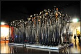 DSC_3436_1.jpg