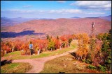 DSC_4778_1.jpg