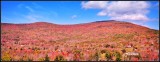 DSC_4815_1.jpg