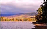 DSC_4837_1.jpg
