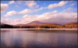 DSC_4922_1.jpg